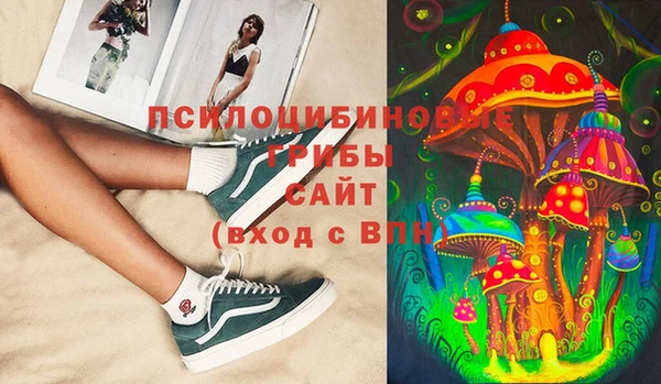 apvp Алексин