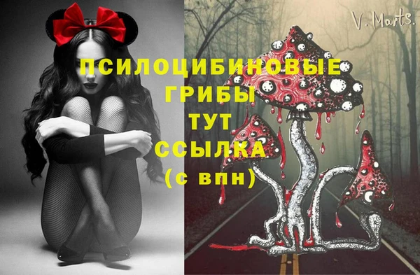 гидра Михайлов