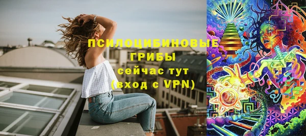 apvp Алексин
