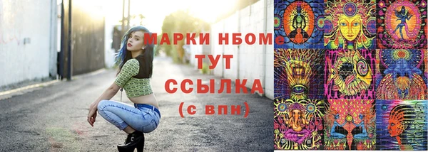 apvp Алексин